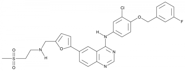 Lapatinib