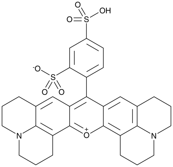 Sulforhodamine 101