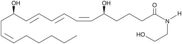 Leukotriene B4 Ethanolamide