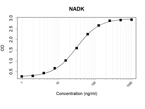 Anti-Human NADK Antibody Pair