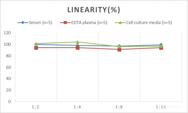 MS Mouse IGF-1 (Insulin-like Growth Factor 1) ELISA Kit