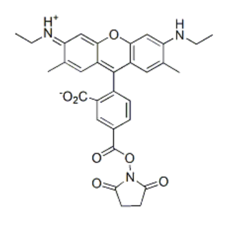 5-CR6G SE