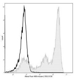 Anti-Mouse Ly6G (AF488 Conjugated)[1A8], clone 1A8