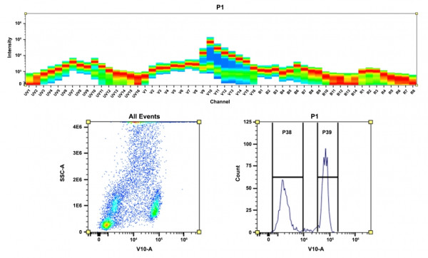 ReadiLink(TM) Rapid mFluor(TM) Violet 610 Antibody Labeling Kit *Microscale Optimized for Labeling 5