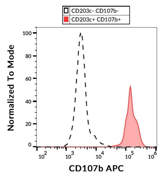 Anti-CD107b / LAMP-2, clone H4B4 (APC)