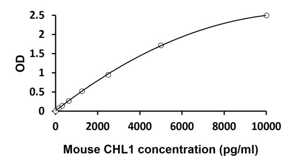 Mouse CHL1 ELISA Kit