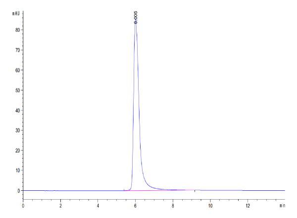 Human ACE2/ACEH Protein