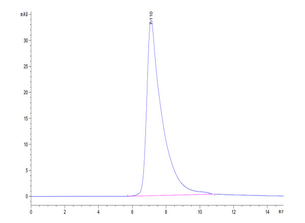 Human CD23/Fc epsilon RII Protein