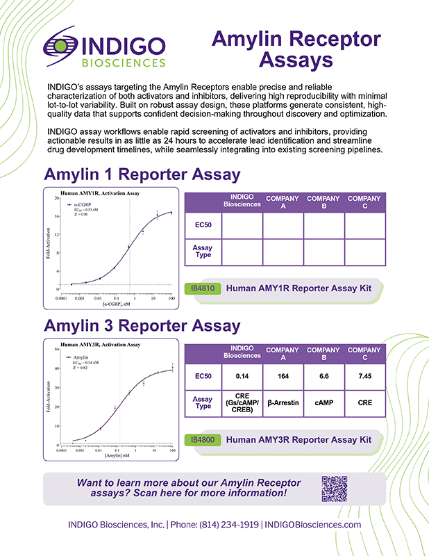 Amylin Receptor Assays