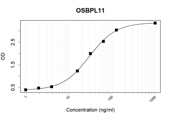Anti-Human OSBPL11 Antibody Pair