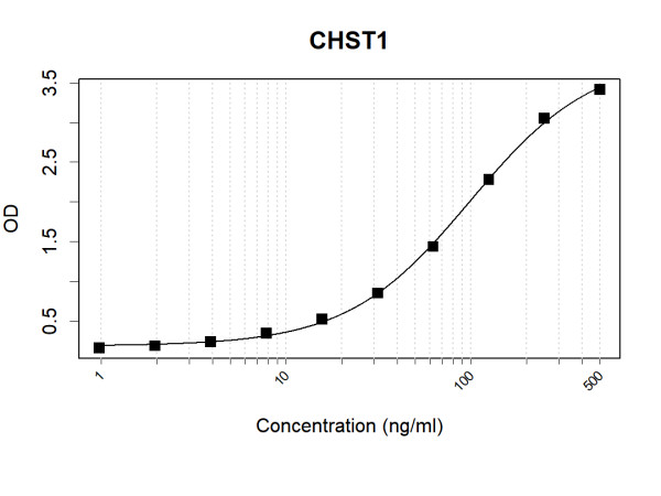 Anti-Human CHST1 Antibody Pair