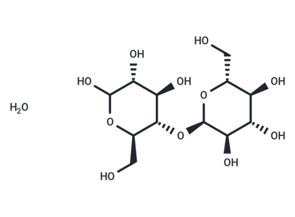 Maltose monohydrate