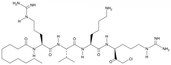 Furin Inhibitor I (trifluoroacetate salt)