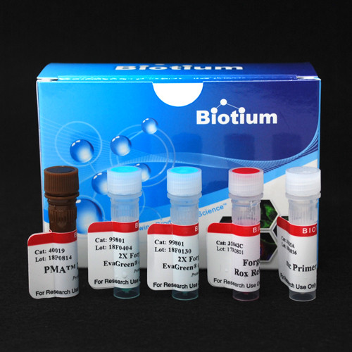 PMA Real-Time PCR Bacterial Viability Kit - Staphylococcus aureus (nuc)