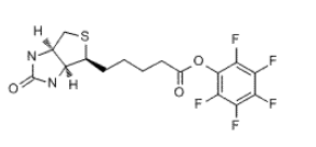 Biotin-PFP ester