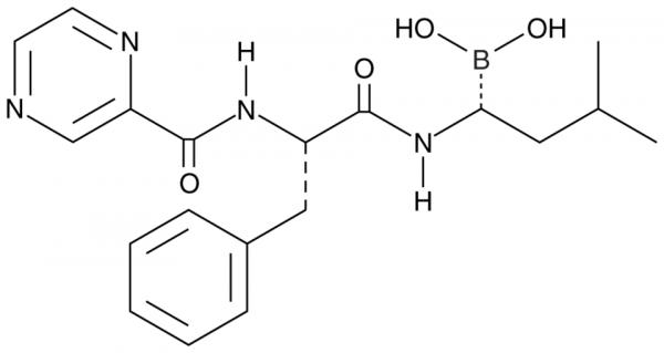 Bortezomib