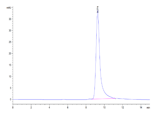 Mouse ANGPTL4/Angiopoietin-like 4 Protein