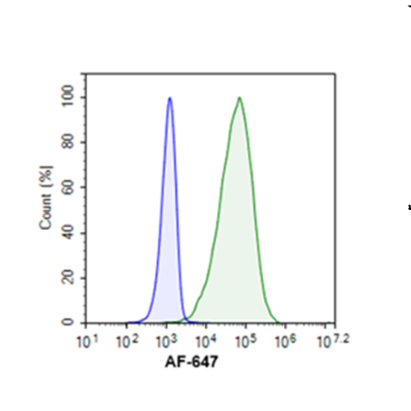 BDCA2 NFAT Luciferase Reporter Jurkat Cell Line