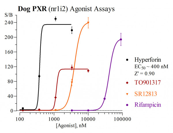 PXR (Dog) Reporter Assay System