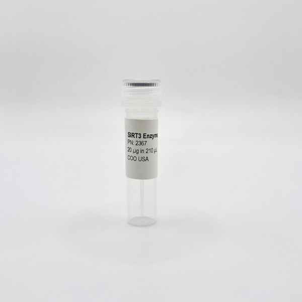 Recombinant SIRT3 Enzyme, Active, Human