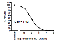 Mouse CTLA4[Biotin]:B7-1 Inhibitor Screening Assay Kit