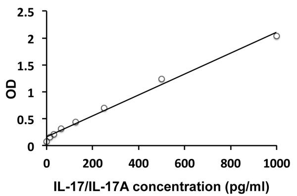 Rat IL17 / IL17A ELISA kit