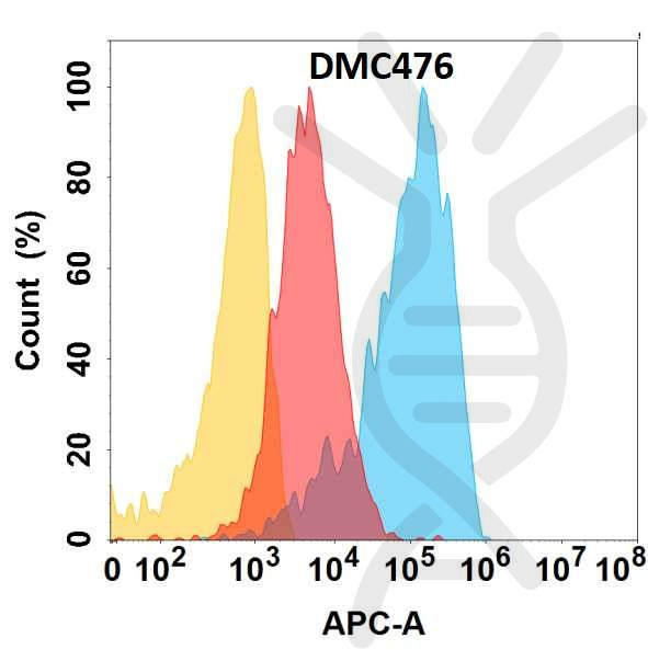 Anti-CD164 antibody(DMC476), IgG1 Chimeric mAb