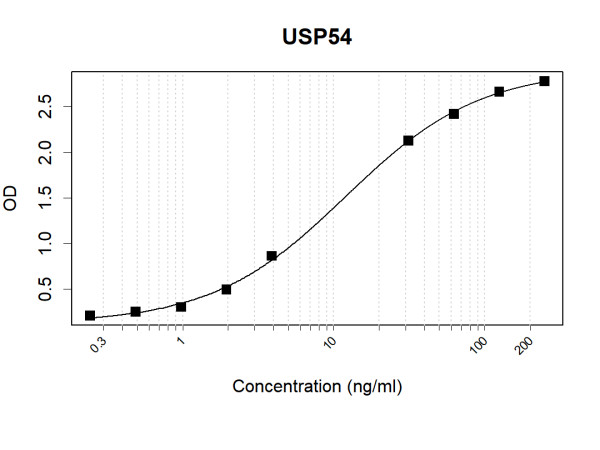 Anti-Human USP54 Antibody Pair