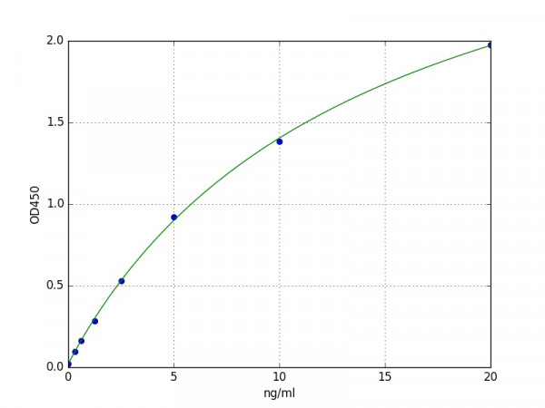 Human ACTN2 / Sarcomeric Alpha Actinin ELISA Kit