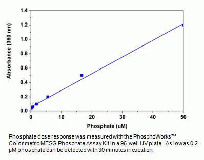 PhosphoWorks(TM) Colorimetric MESG Phosphate Assay Kit *UV absorption*