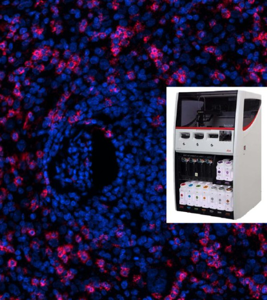 NaveniFlex(TM) BOND RX Atto647N