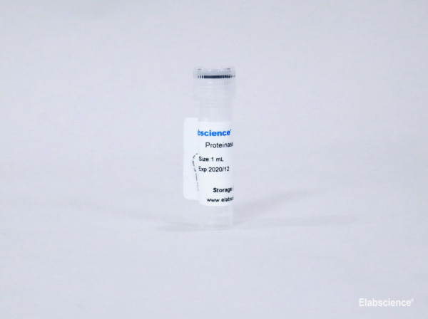 Proteinase K Reagent(10 mg/mL)