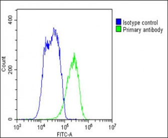 Anti-SLC10A1 / NTCP