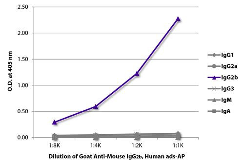 Anti-Mouse IgG2b (AP), pre-adsorbed [Goat]