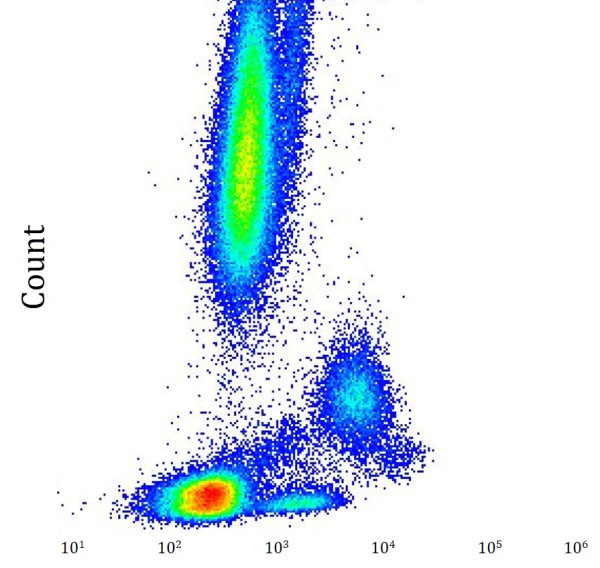 Anti-CD1d (PE), clone 51.1