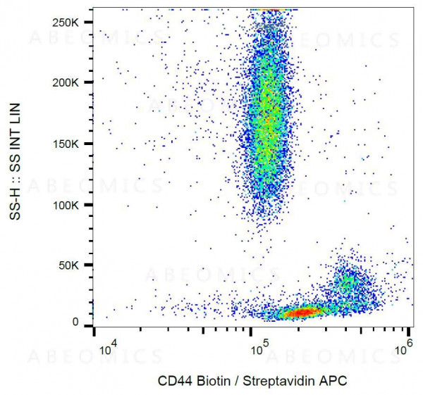 Anti-CD44 / Pgp-1 Monoclonal Antibody (Clone:MEM-85)-Biotin Conjugated