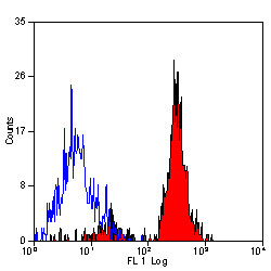 Anti-CD151, clone 11G5a