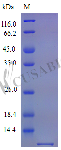 C-X-C motif chemokine 3 protein (Cxcl3), partial (Active), mouse, recombinant