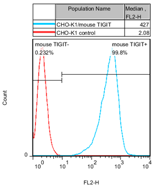 CHO-K1/mouse TIGIT Stable Cell Line