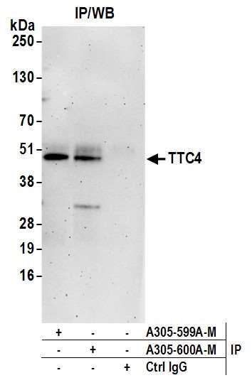 Anti-TTC4