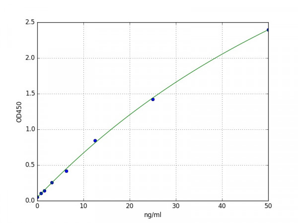 Human IDH ELISA Kit