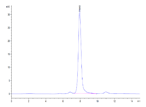 DLL1/Delta1, His, Human