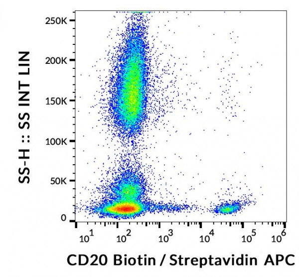 Anti-CD20, clone LT20 (Biotin)