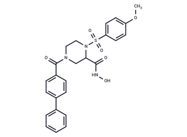 MMP-9/MMP-13 Inhibitor I