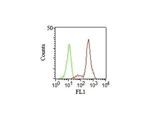 Anti-CD11c(HC1/1), CF568 conjugate, 0.1mg/mL