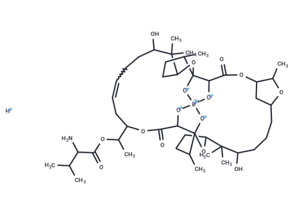 Boromycin