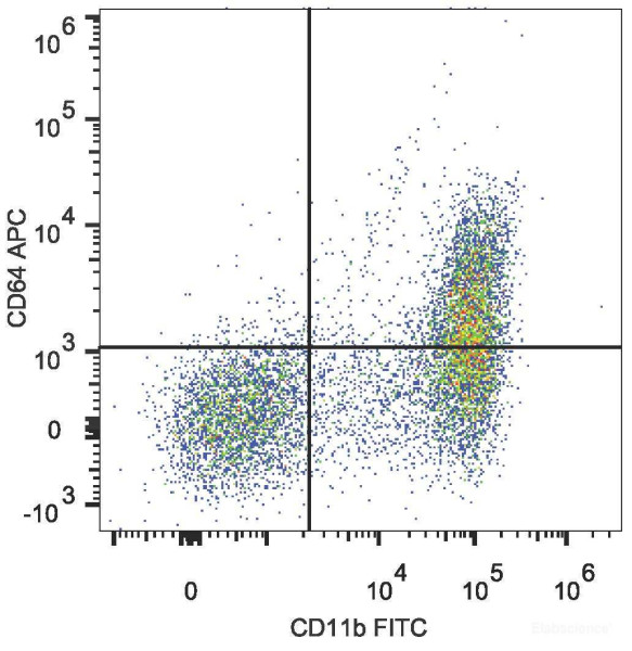Anti-Mouse CD64 (APC Conjugated)[X54-5/7.1], clone X54-5/7.1