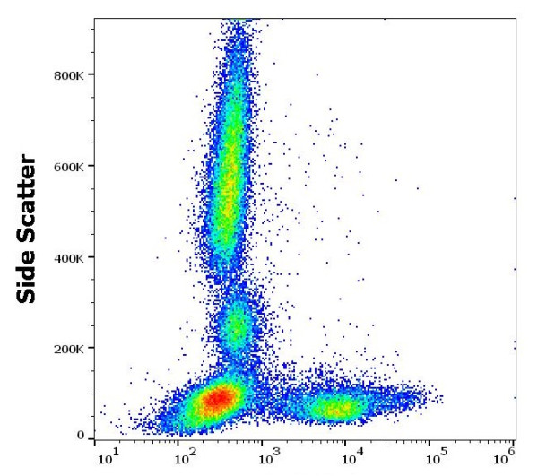 Anti-CD26, clone BA5b (PE)