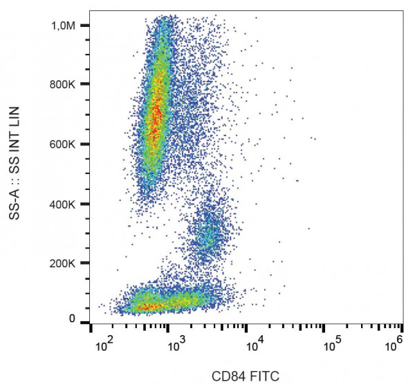 Anti-CD84, clone CD84.1.21 (FITC)