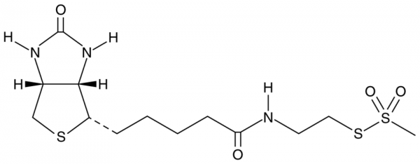 MTSEA-biotin
